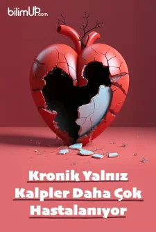 Kronik Yalnız Kalpler Daha Çok Hastalanıyor