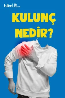 Kulunç Nedir?