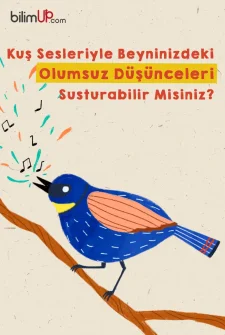 Kuş Sesleriyle Beyninizdeki Olumsuz Düşünceleri Susturabilir Misiniz?
