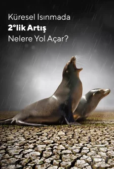 Küresel Isınmada 2 Derecelik Artış Nelere Yol Açar?