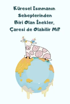 Küresel Isınmanın Sebeplerinden Biri Olan İnekler, Çaresi De Olabilir Mi?