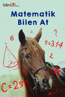 Bir At Matematik Sorularına Doğru Cevap Verebilir Mi?