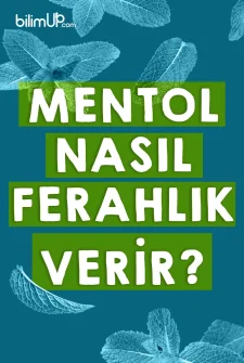 Mentol Nasıl Ferahlık Hissi Verir?