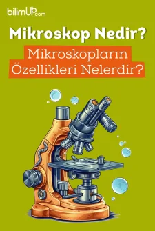 Mikroskop Nedir? Mikroskopların Özellikleri Nelerdir?