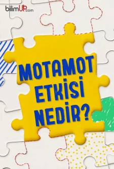 Motamot Etkisi Nedir?