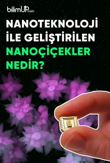 Nanoteknoloji ile Geliştirilen Nanoçiçekler Nedir?