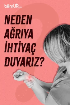 Neden Ağrıya İhtiyaç Duyarız?