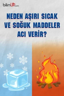 Neden Aşırı Sıcak ve Soğuk Maddeler Acı Verir?