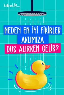 Neden En İyi Fikirler Aklımıza Duş Alırken Gelir?