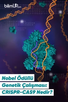 Nobel Ödüllü Genetik Çalışması: CRISPR-CAS9 Nedir?