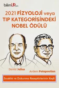 2021 Nobel Ödülünün Sahibi: Sıcaklık ve Dokunma Reseptörlerinin Keşfi
