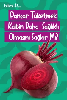 Pancar Tüketmek Kalbin Daha Sağlıklı Olmasını Sağlar Mı?