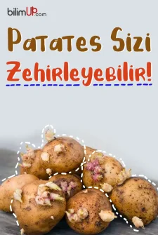 Patates Sizi Zehirleyebilir!