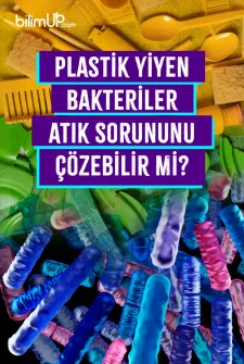 Plastik Yiyen Bakteriler Atık Sorununu Çözebilir Mi?