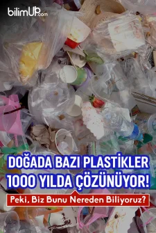 Doğada Bazı Plastikler 1000 Yılda Çözünüyor! Peki, Biz Bunu Nereden Biliyoruz?