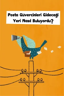 Posta Güvercinleri Gideceği Yeri Nasıl Buluyordu?