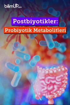 Postbiyotikler: Probiyotik Metabolitleri
