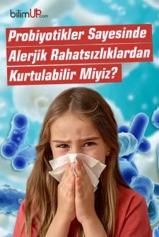 Probiyotikler Sayesinde Alerjik Rahatsızlıklardan Kurtulabilir Miyiz?