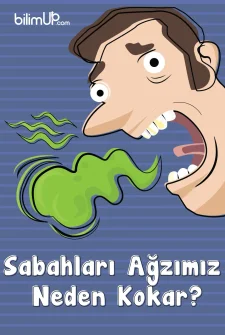 Sabahları Ağzımız Neden Kokar?