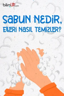 Sabun Nedir, Elleri Nasıl Temizler?