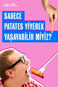 Sadece Patates Yiyerek Yaşayabilir miyiz?