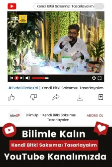 Evde Bitki Saksınızı Tasarlayın