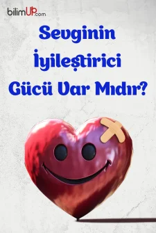 Sevginin İyileştirici Gücü Var Mıdır?