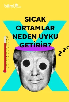 Sıcak Ortamlar Neden Uyku Getirir?