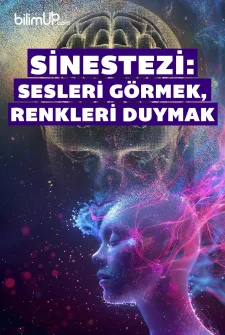 Sinestezi: Sesleri Görmek, Renkleri Duymak