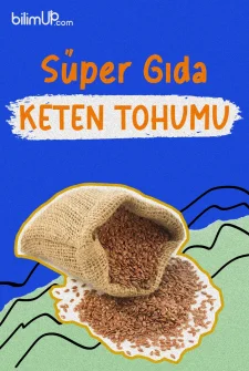 Keten Tohumu Nedir? Sağlığa Faydaları