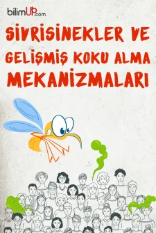 Sivrisinekler ve Gelişmiş Koku Alma Mekanizmaları