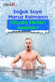 Soğuk Suya Maruz Kalmanın Vücuda Etkileri Nelerdir?
