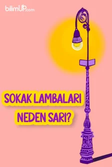 Sokak Lambaları Neden Sarı?