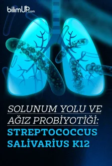 Solunum Yolu ve Ağız Probiyotiği: Streptococcus salivarius K12