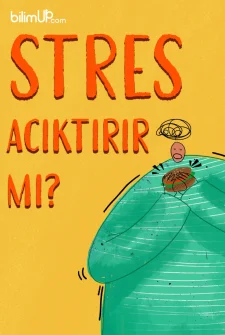 Stres Acıktırır Mı?