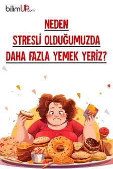 Neden Stresli Olduğumuzda Daha Fazla Yemek Yeriz?
