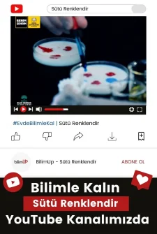 Sütü Renklendir