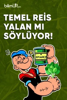 Temel Reis Yalan Mı Söylüyor!