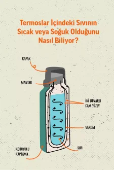 Termoslar İçindeki Sıvının Sıcak veya Soğuk Olduğunu Nasıl Biliyor?