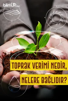 Toprak Verimi Nedir, Nelere Bağlıdır?