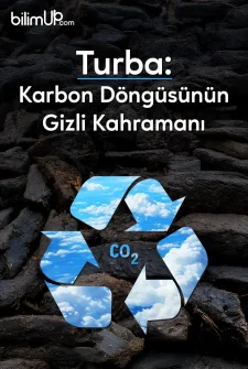 Turba: Karbon Döngüsünün Gizli Kahramanı