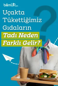 Uçakta Tükettiğimiz Gıdaların Tadı Neden Farklı Gelir?