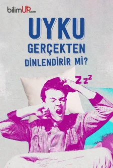 Uyku Gerçekten Dinlendirir Mi?