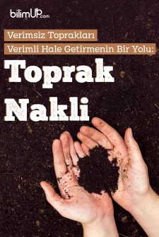 Verimsiz Toprakları Verimli Hale Getirmenin Bir Yolu: Toprak Nakli
