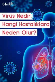 Virüs Nedir, Hangi Hastalıklara Neden Olur?
