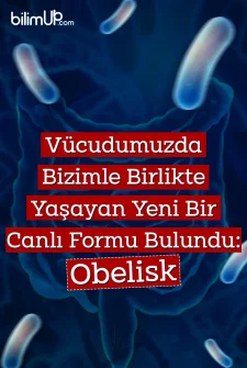 Vücudumuzda Bizimle Birlikte Yaşayan Yeni Bir Canlı Formu Bulundu: Obelisk