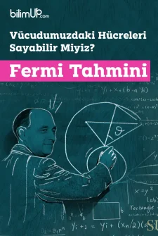 Vücudumuzdaki Hücreleri Sayabilir Miyiz: Fermi Tahmini