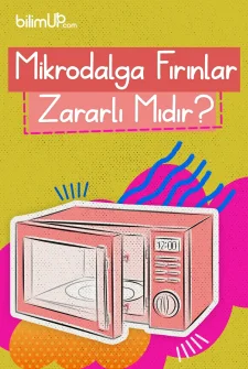 Mikrodalga Fırınlar Zararlı Mıdır?