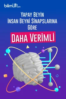 Yapay Beyin, İnsan Beyni Sinapslarına Göre Daha Verimli
