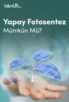 Yapay Fotosentez Mümkün Mü?